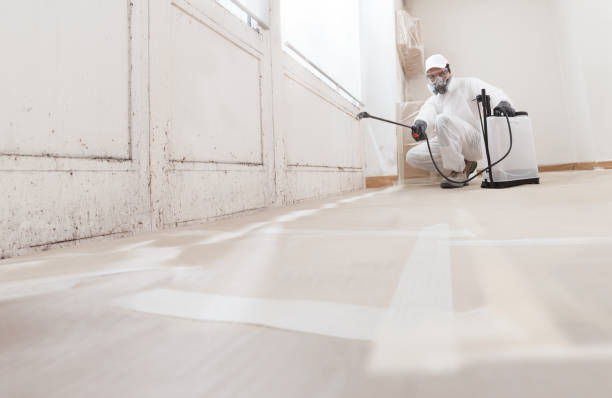 24/7 Emergency Commercial Mold Remediation experts in Springfield, KY